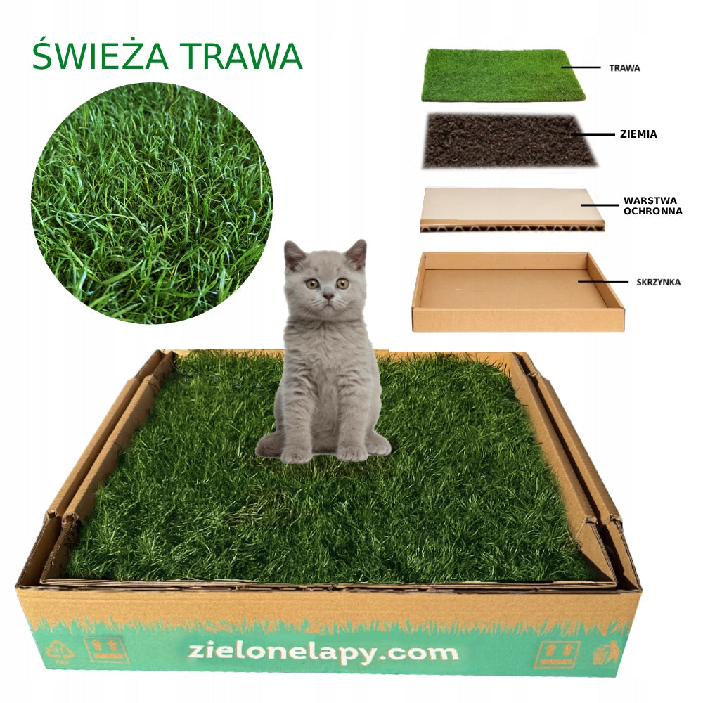 Natural Grass Cat Cuvette 50×50 cm Organic Toilet Brand no brand