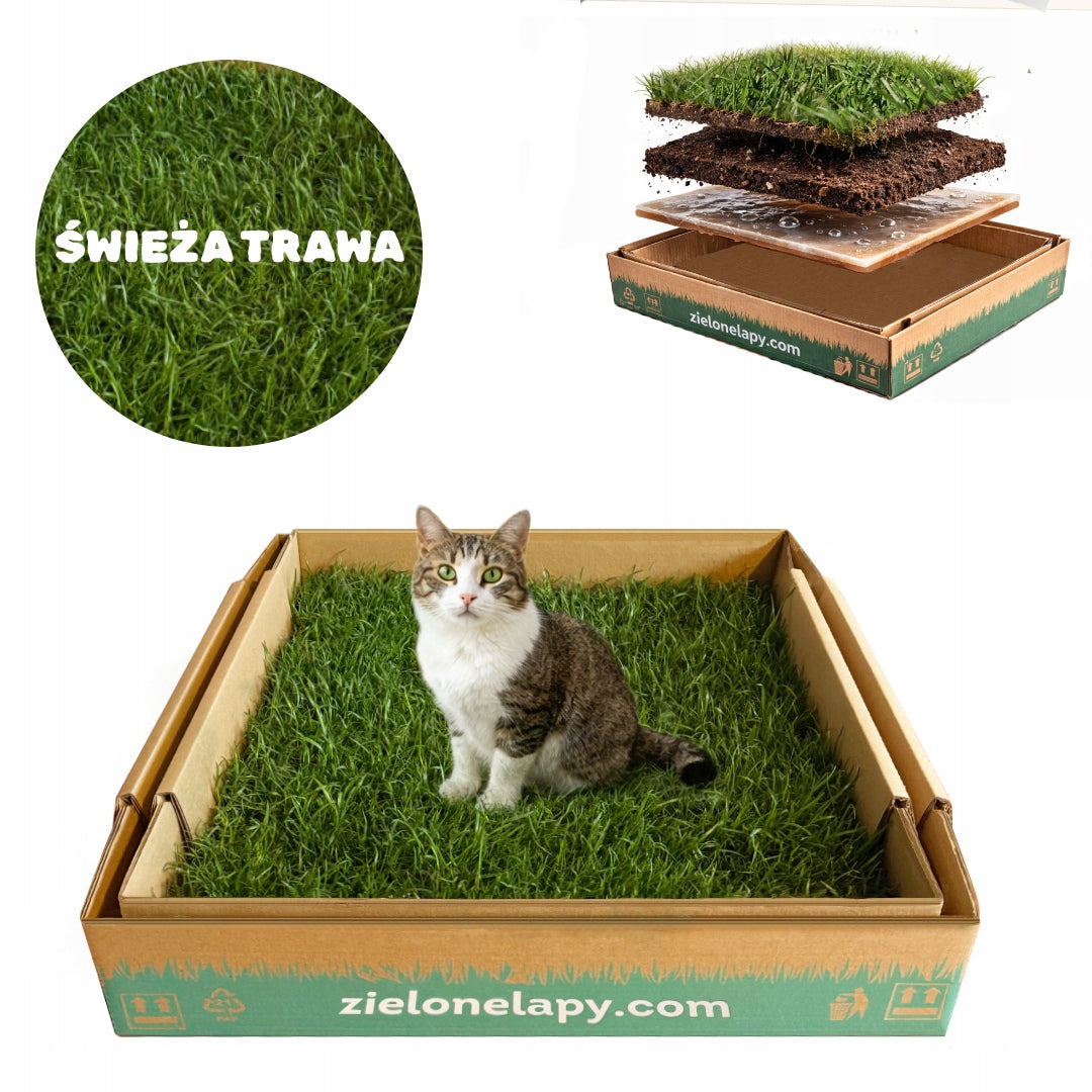 Natural Grass Cat Cuvette 50×50 cm Organic Toilet