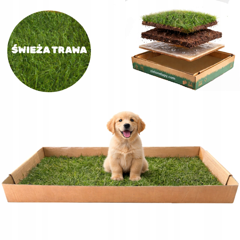Natural Grass Dog Cuvette 100x50cm Toilet