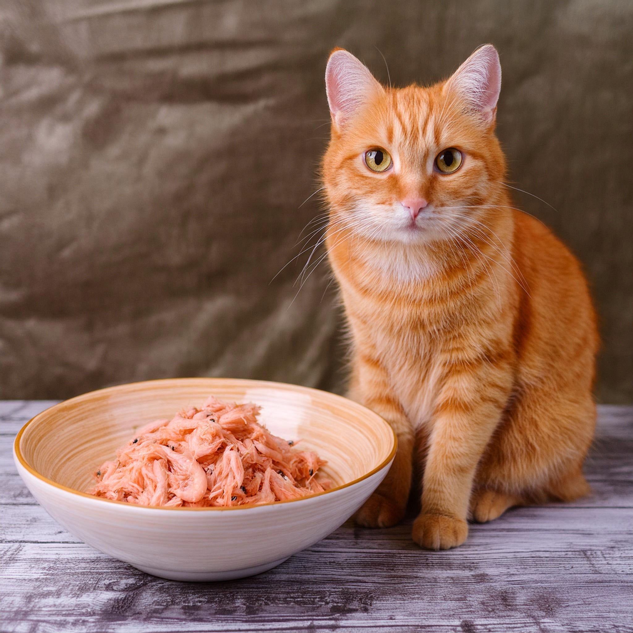 Nature's Skin&Coat Adult Cat Tuna Shrimp 70g sash Manufacturer code 4779051637492