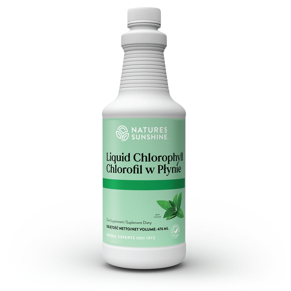 Nature's Sunshine Chlorophyll Liquid NSP 476 ml Manufacturer code 1580/1580
