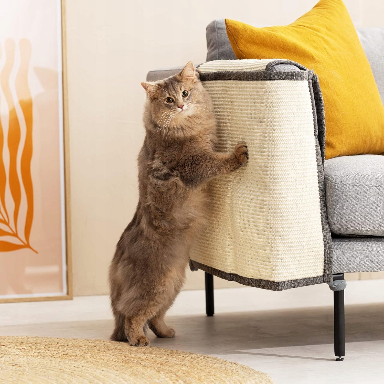 Navaris Cat Scratching Mat – Protecting Your Sofa from Scratching Brand no brand