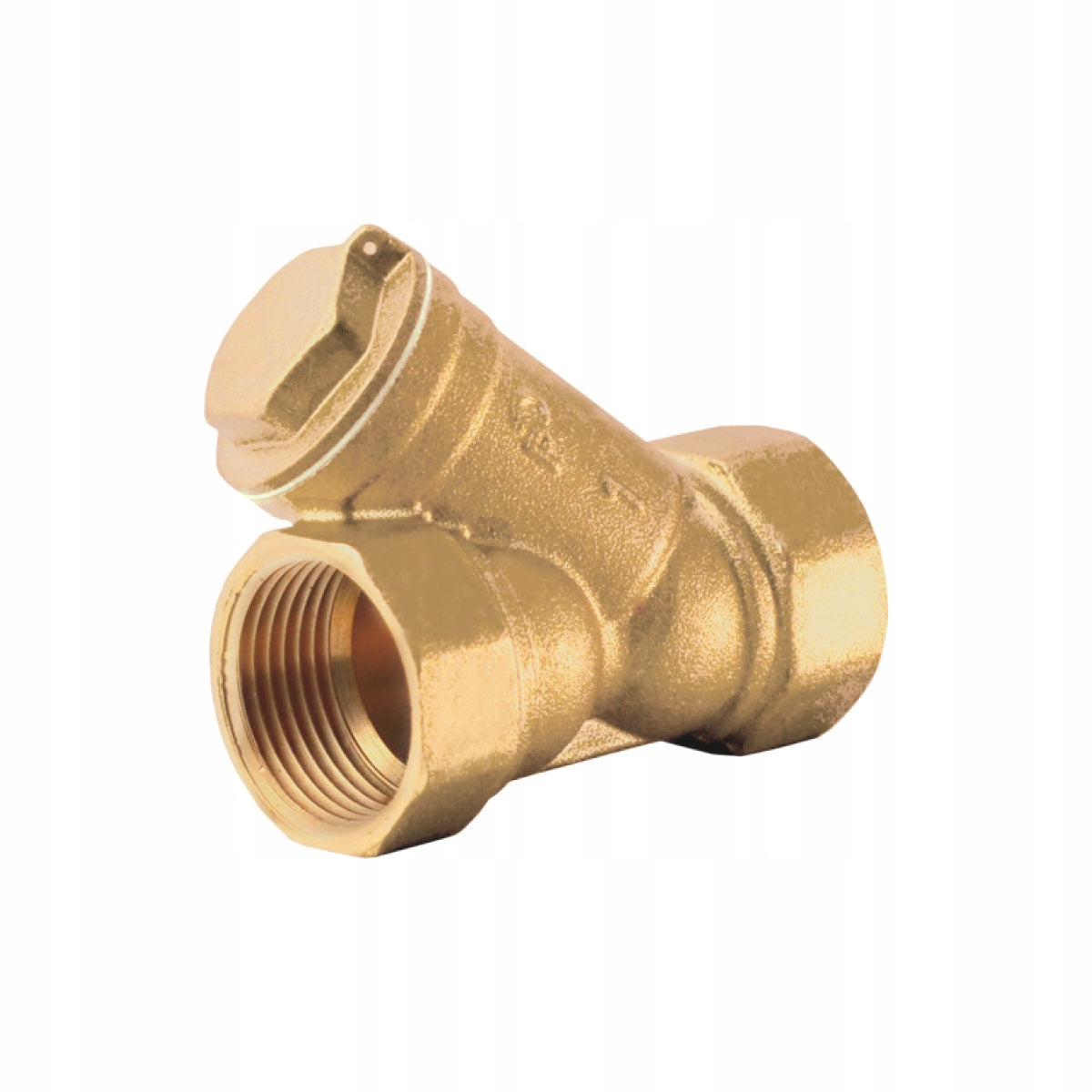 OBLIQUE MESH FILTER 1 1/2" DN40 PHA-06 PERFEXIM