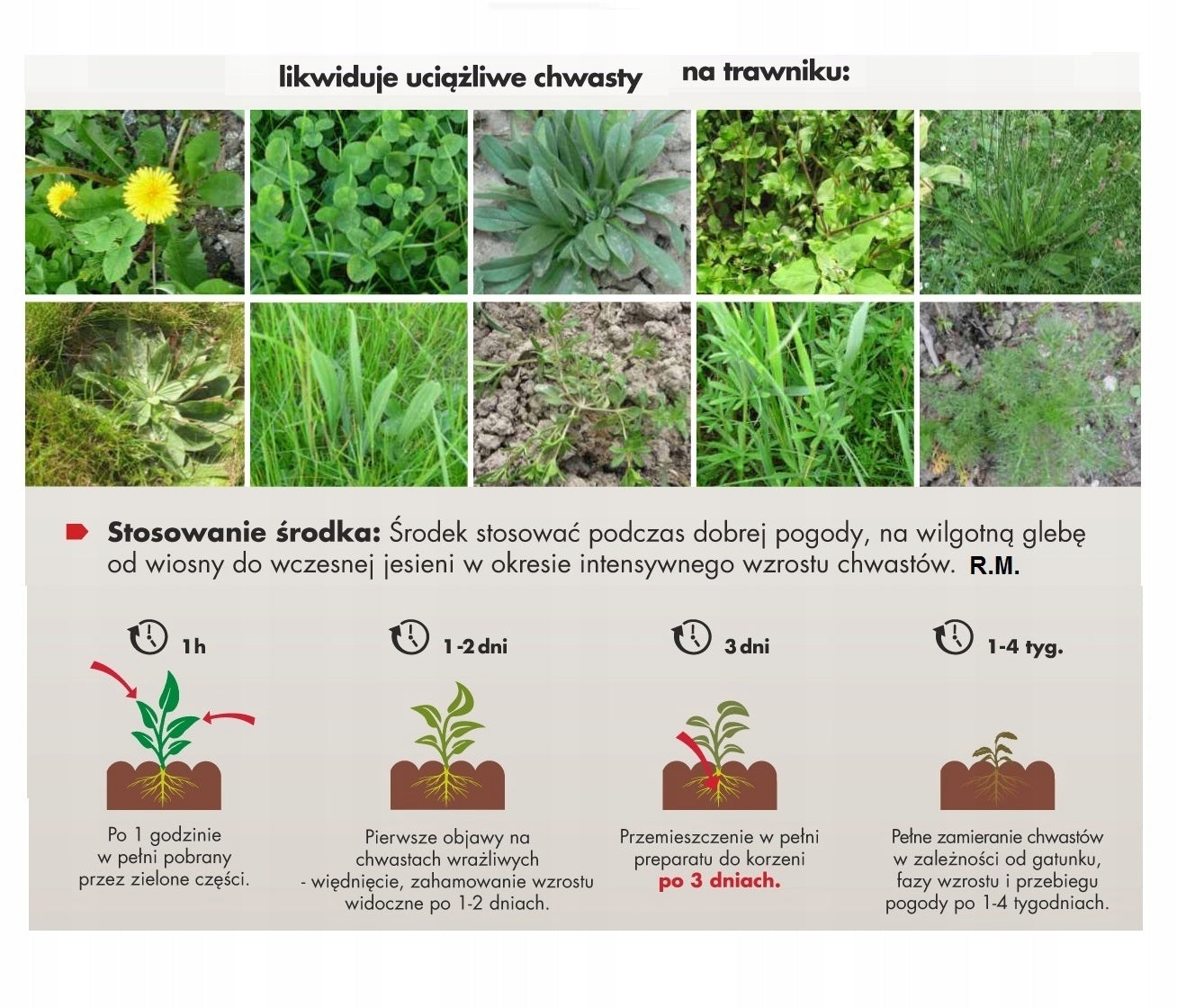 OLD 100ml WEEDS IN GRASS LAWN DANDELION HORSETAIL GRANDMOTHER CLOVER MILK Manufacturer code Starane Trawnik 260EW 100ml