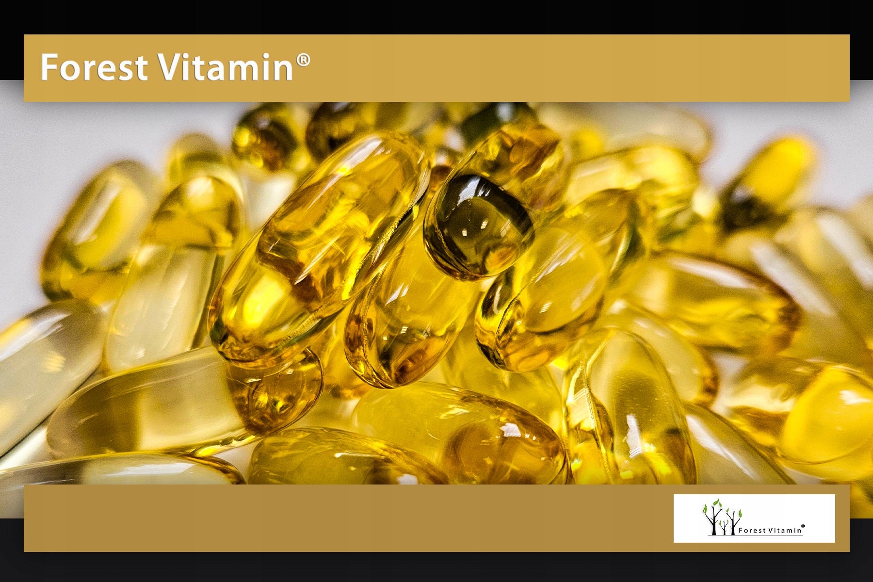 OMEGA 3 FATTY ACIDS DHA EPA 100 KAPS STRONG FROM WILD ANCHOVIES Number of pieces 100 pcs