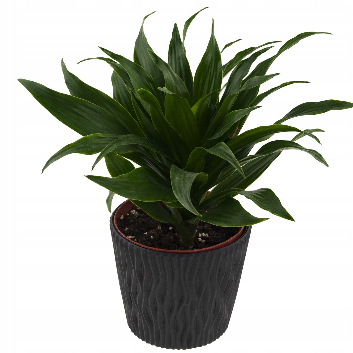 OPENWORK POT GOUGES ANTHRACITE WITH INSERT COVER 3L SANDY ROUND Material synthetic material