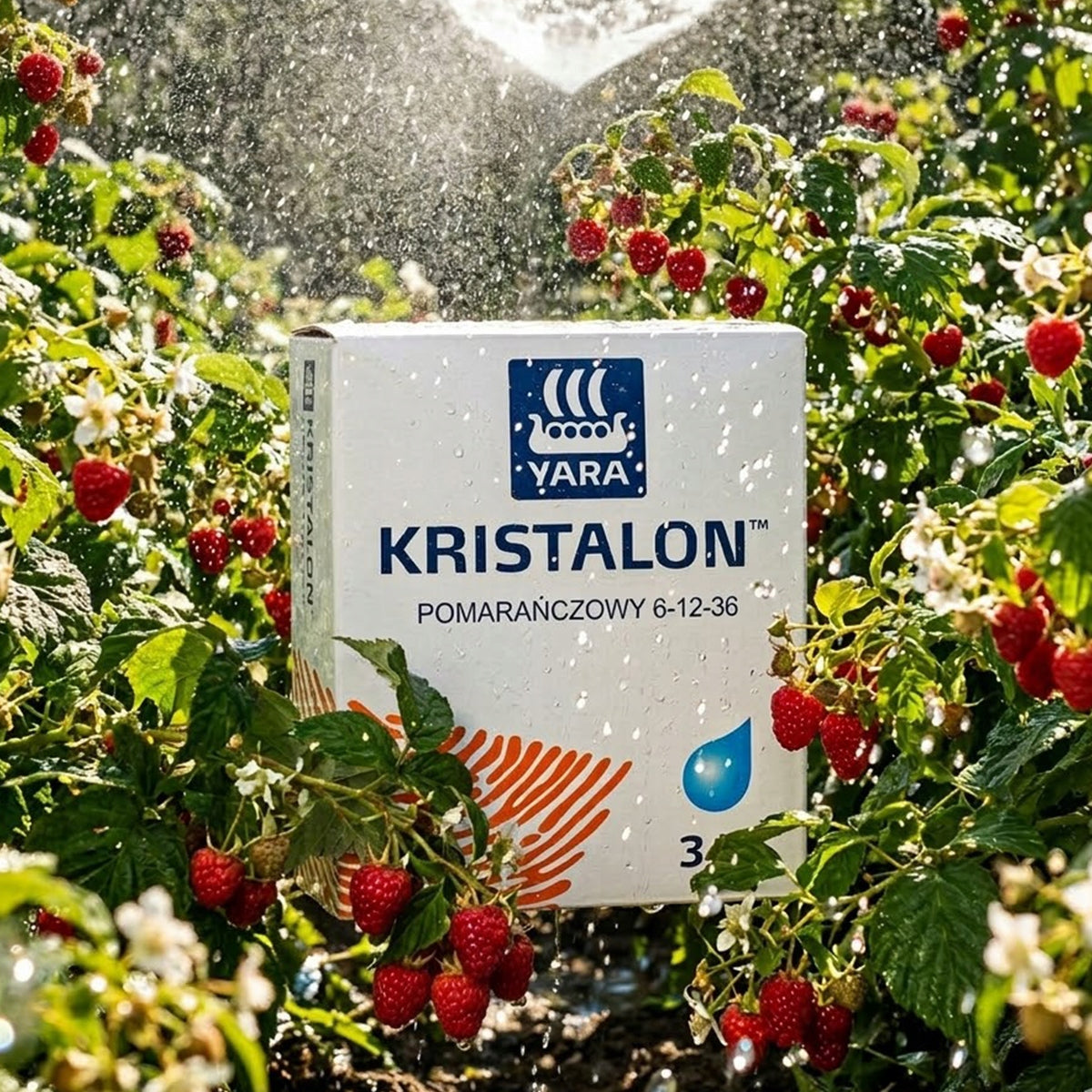 ORANGE KRISTALON 6-12-36+3 3KG FOR FRUIT BINDING AND RIPENING Manufacturer YARA