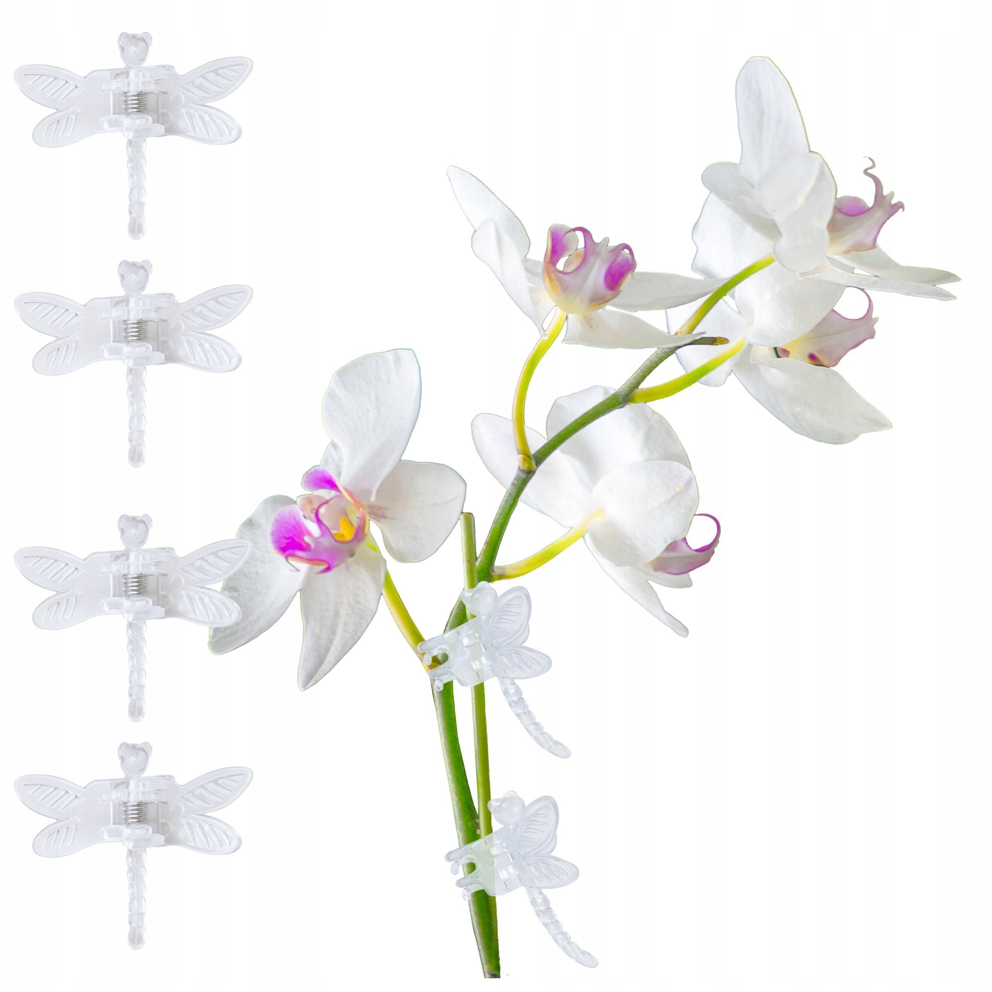 ORCHID CLIPS, PLANT FLOWERS, CLAMPS, CLIPS, set of 4, TRANSPARENT