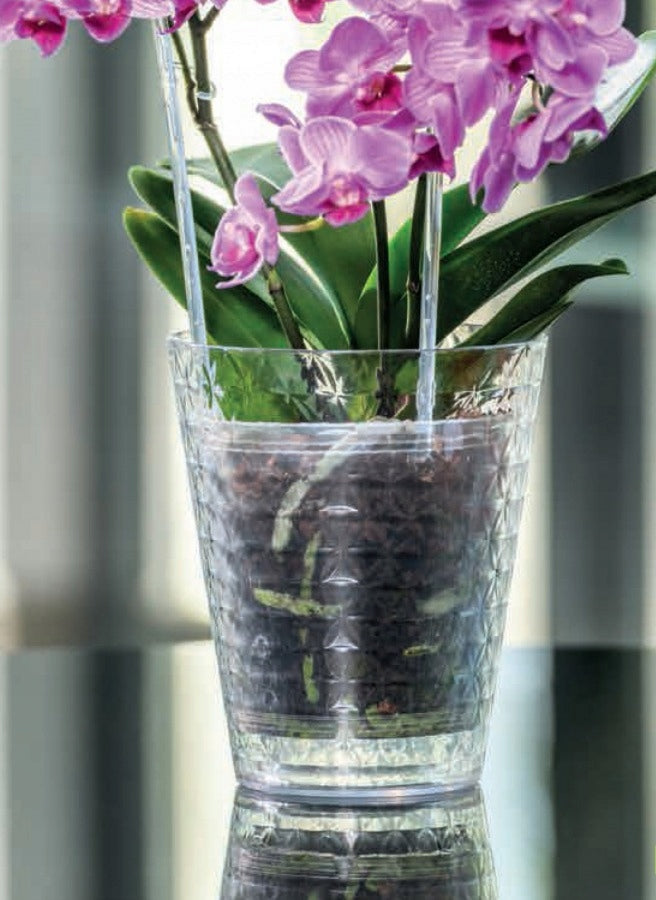 ORCHID pot cover DIAMOND diameter 12,7CM TRANSPARENT Form-plastic Brand Form-Plastic