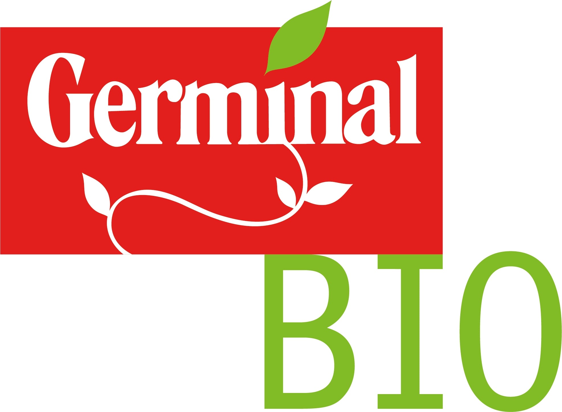 ORGANIC BISCUITS FOR CHILDREN CARROT BIOJUNIOR 100G ECO BIO Age range from 10 months