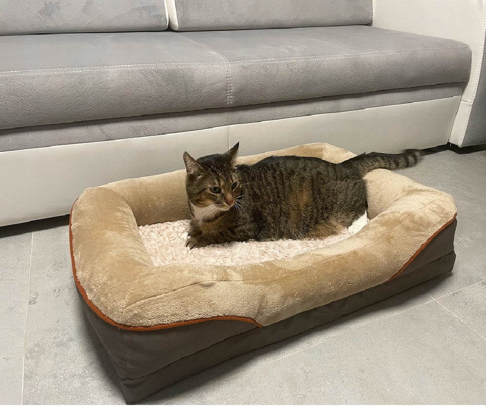 ORTHOPEDIC BED FOR CAT DOG LUNA XL 115X80 Product width 80 cm