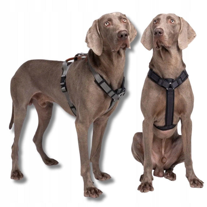 OSLO guard dog harness STRONG solid PREMIUM Lalazoo gray L Manufacturer code 5906555654628