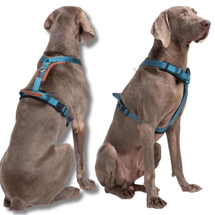 OSLO guard dog harness STRONG solid PREMIUM Lalazoo gray L Size L