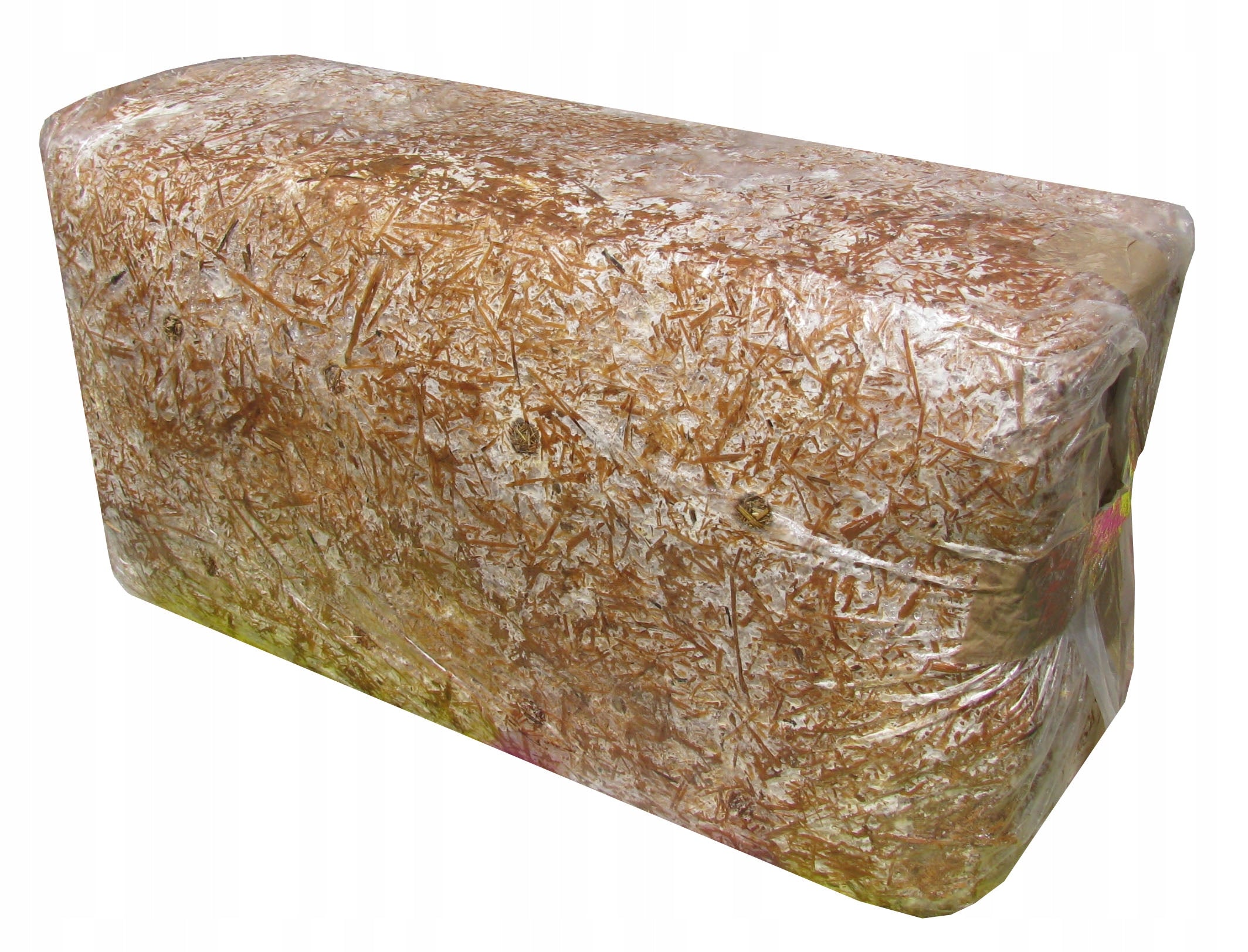 OYSTER MUSHROOM OYSTER MUSHROOMS Manufacturer RSP