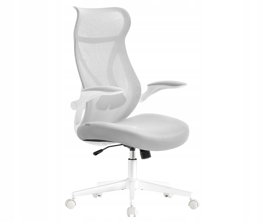 Office chair, ergonomic backrest, adjustable 150 kg SONGMICS OBN088GD01