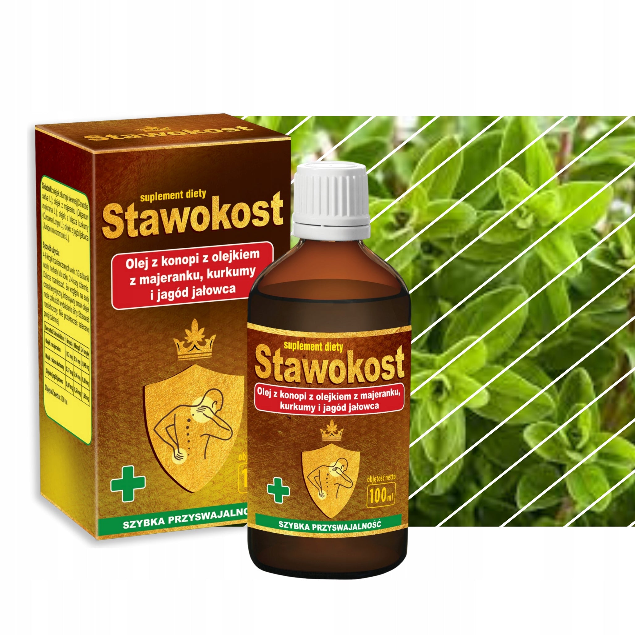Oil JOINTS AND BONES from Hemp and Turmeric STAWOKOST 100 ml ASEPTA Brand Asepta