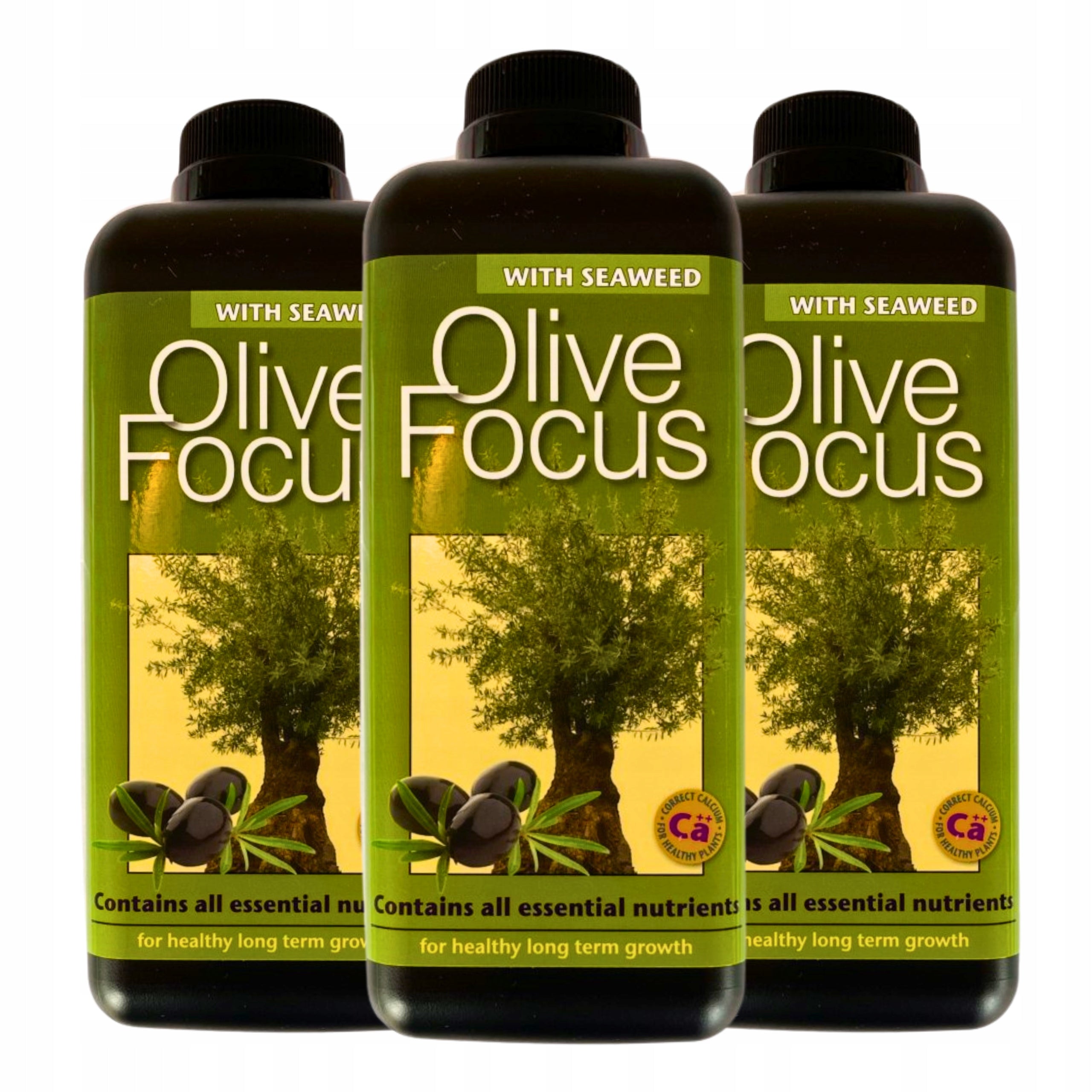 Olive Focus 1L FERTILIZER OLIVE TREE CONDITIONER Growth Technology Manufacturer code Olive Focus nawóz do drzewek oliwnych