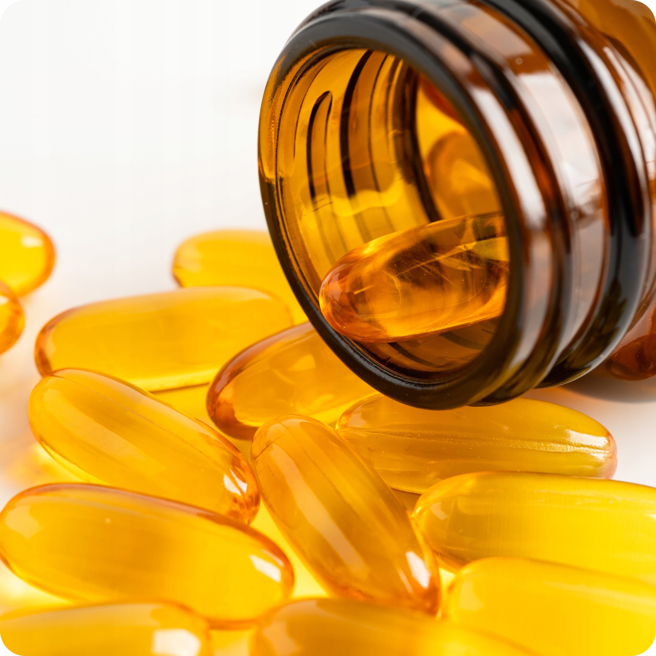 Omega 3 Premium | TRIGLYCERIDES | 1000 EPA 500 DHA per serving | LOW TOTOX Basic ingredient omega-3 fatty acids