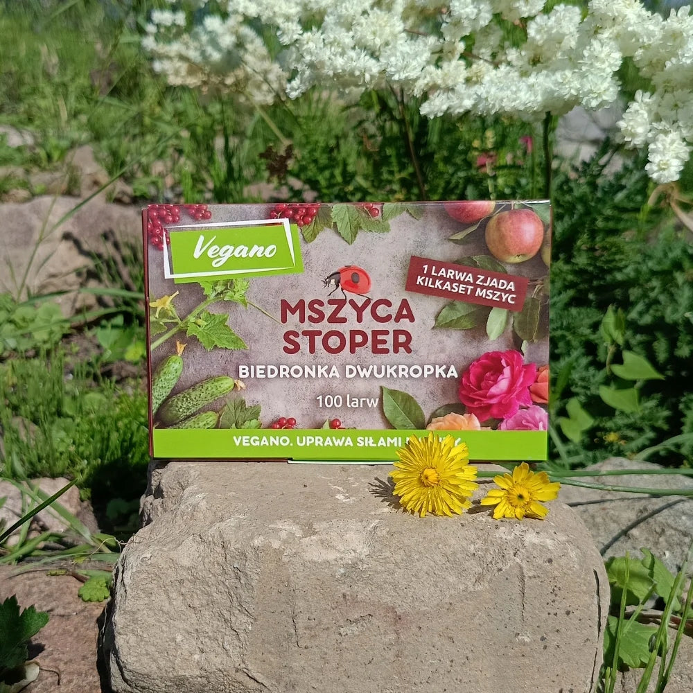 On aphids Aphid Stopwatch for roses ladybug larvae 200larvae Vegano Purpose against pests
