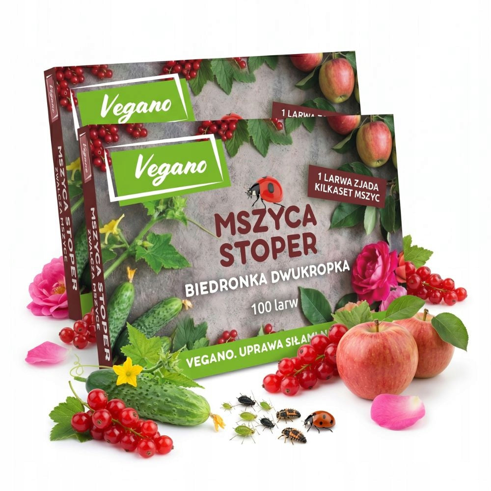 On aphids Aphid Stopwatch for roses ladybug larvae 200larvae Vegano