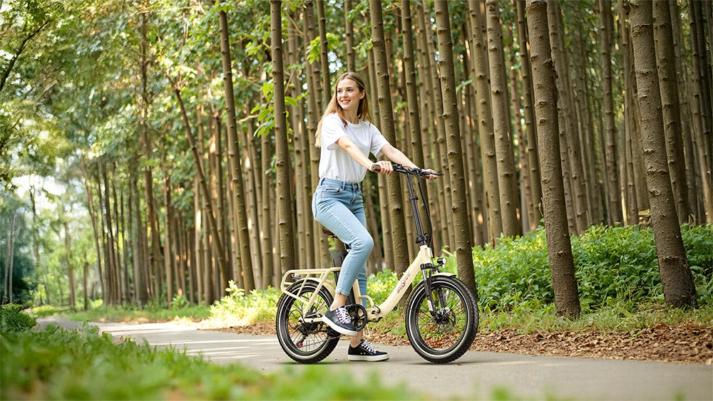 Onesport OT16-2 Folding Electric Bike 250W 25KM/H 48V 17Ah Foldability partially assembled, calibrated