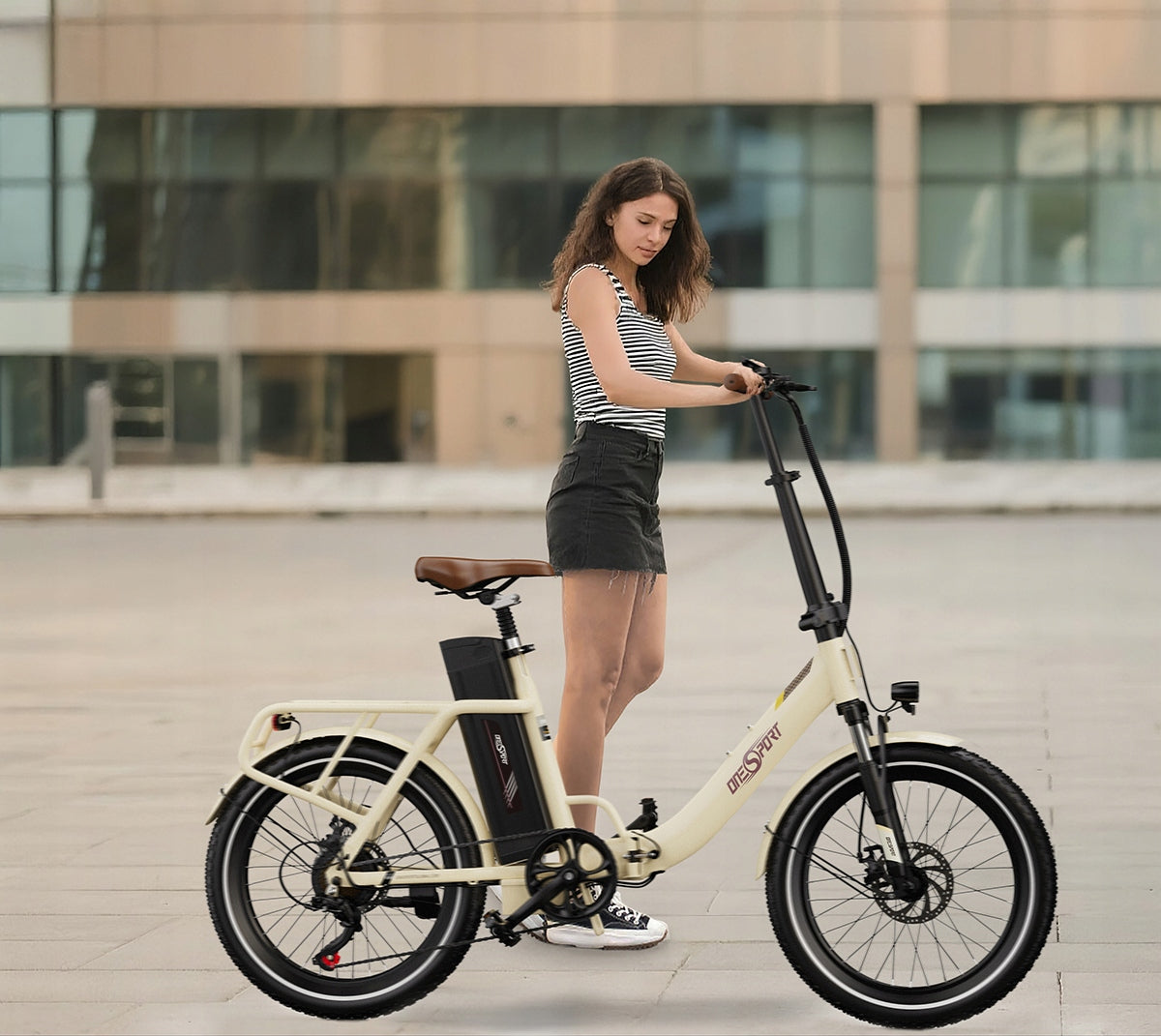 Onesport OT16-2 Folding Electric Bike 250W 25KM/H 48V 17Ah Packaging status original
