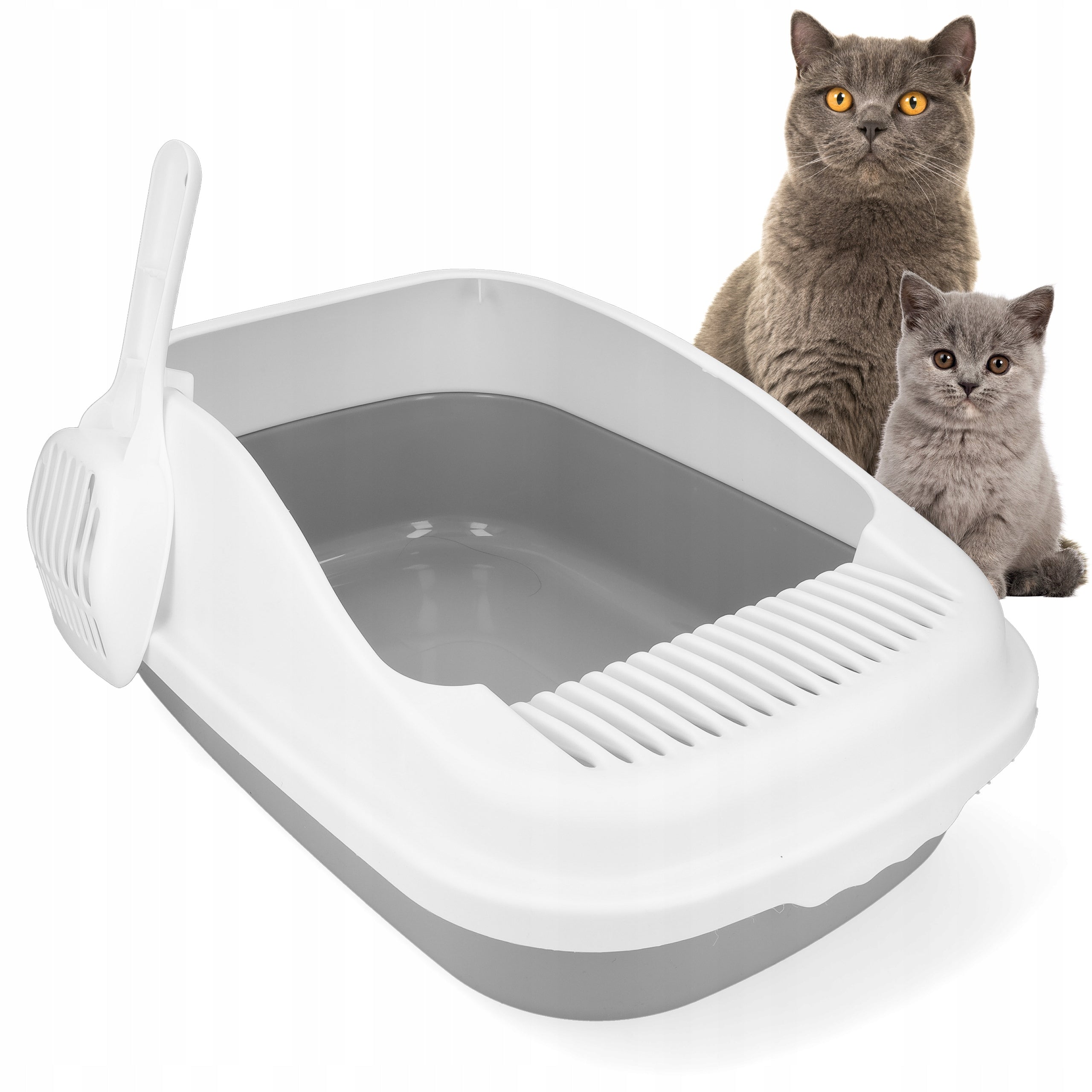 Open cat litter box with spatula 47x32x18 cm WERDANO PETS