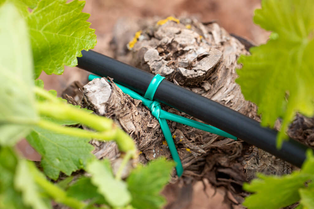 Orchard hose for plant ligation 2,5x165mb 1Kg for plant attachment Brand INDEX BHP