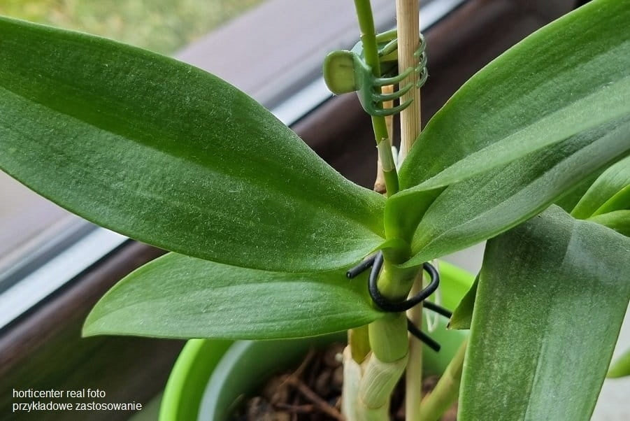 Orchid Clips 10pcs - Plant Attachment Clips for Support Pole Manufacturer code Spinki do przypinania roślin tyczek 10