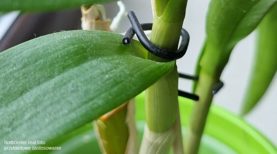 Orchid Hooks 7cm Black x 10pcs - Wire Flower Hooks Product height 7 cm