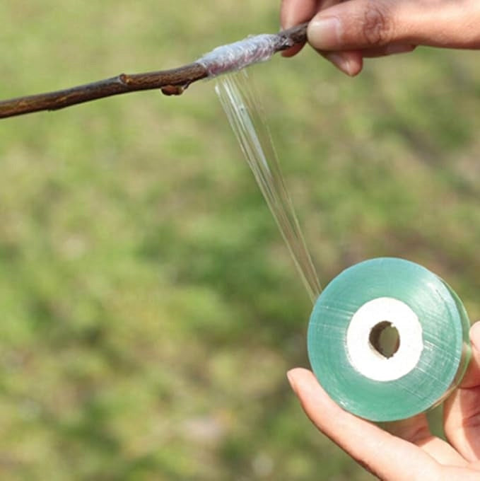 Organic Foil Tape For Plant Vaccination Organic Trees PARAFILM Color transparent