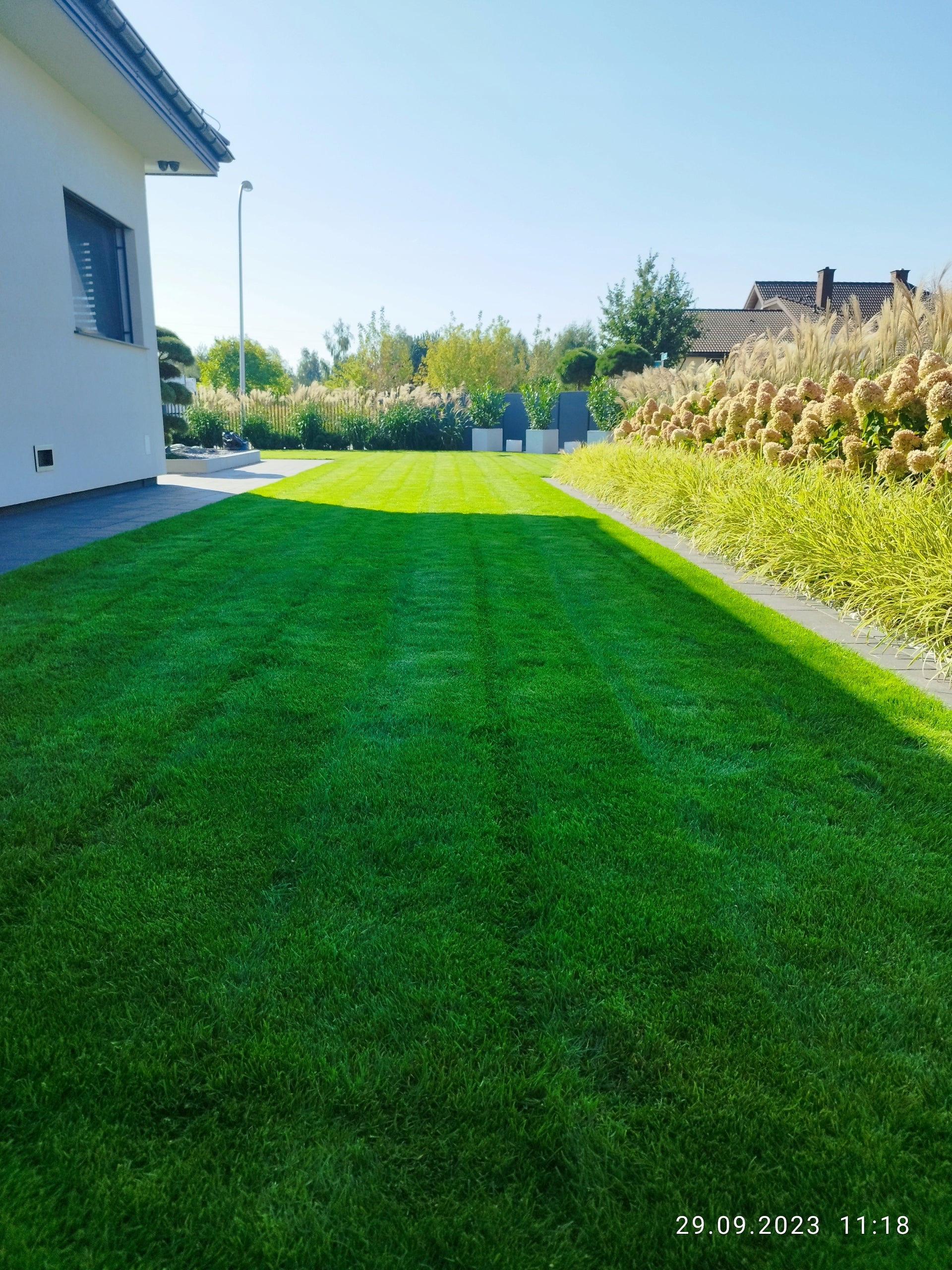Organic lawn fertilizer Emeralld Greenboost 10 kg nitrogen Weight 10 kg