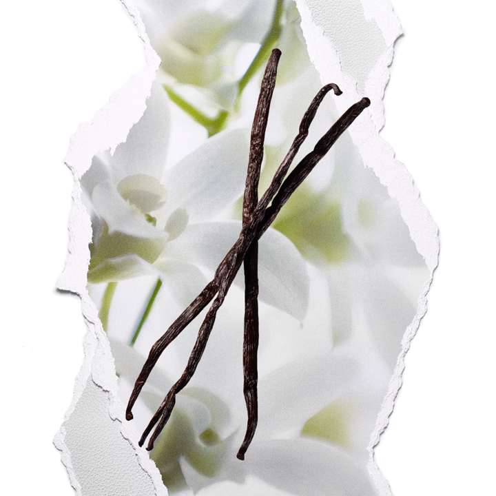 Oriflame perfume All or Nothing 50 ml for Her exclusive fragrance Brand Oriflame