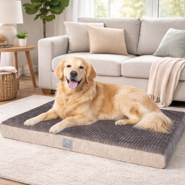 Orthopedic Dog Bed OrthoDream Mattress with Foam Egg Crate 76x46 Brand Lalazoo