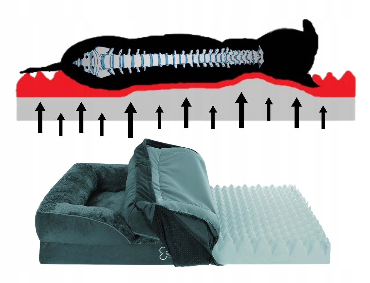 Orthopedic Dog Bed Waterproof Large, L 90x60 OrtoMax EAN (GTIN) 5906852728794