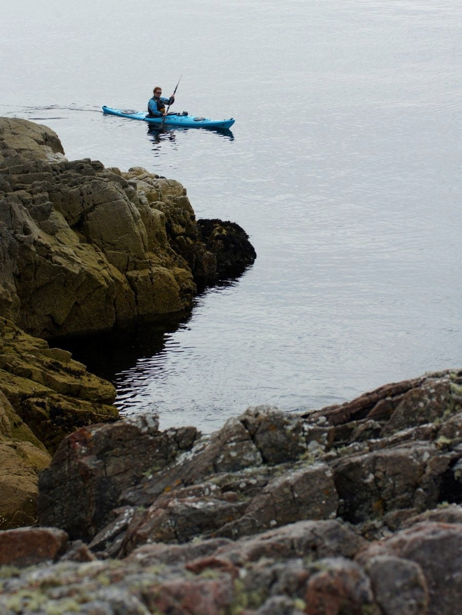 P&H Virgo MV MZ3 Sea Kayak, Tourist Polyethylene 443cm Model Virgo-MV- MZ3