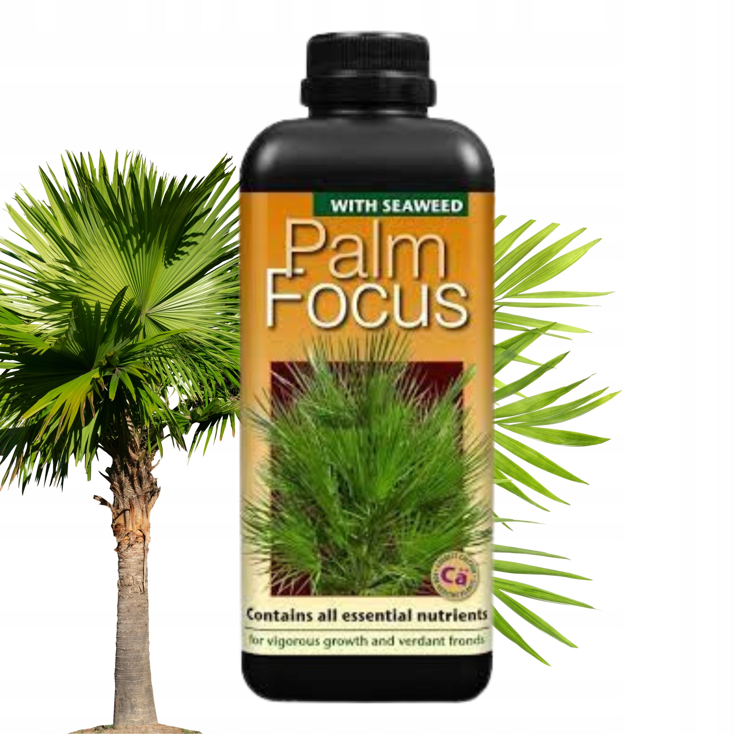 PALM FOCUS 1L Growth Technology palm fertilizer perfectly balanced