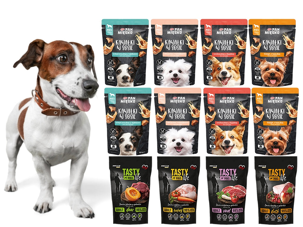 PAN MIĘSKO with TASTY LIFE Mix of Flavours wet dog food 12 x 150g