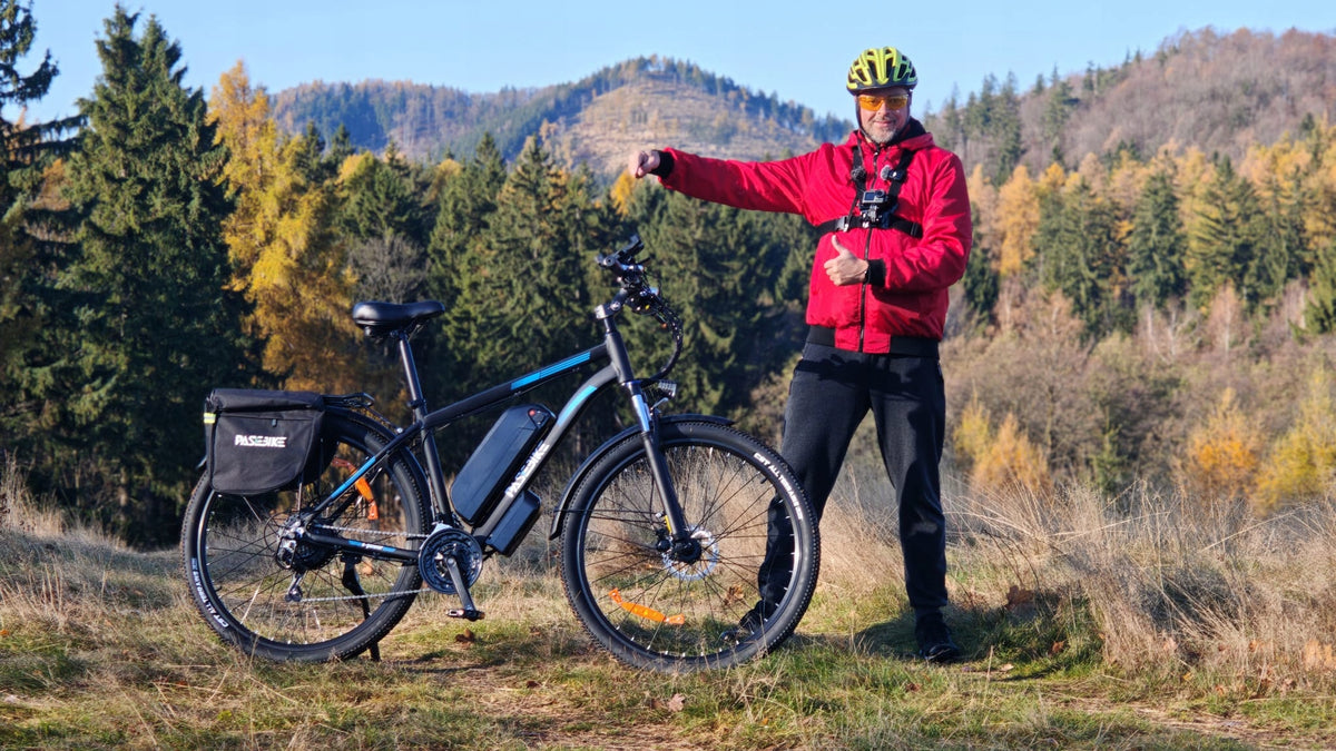 PASEBIKE C29 Pro 1000W 42AH 55KM/h 120HP Oil Brake Double Batteries Manufacturer code Commuting/Touring Road Electric Vehicles 29"