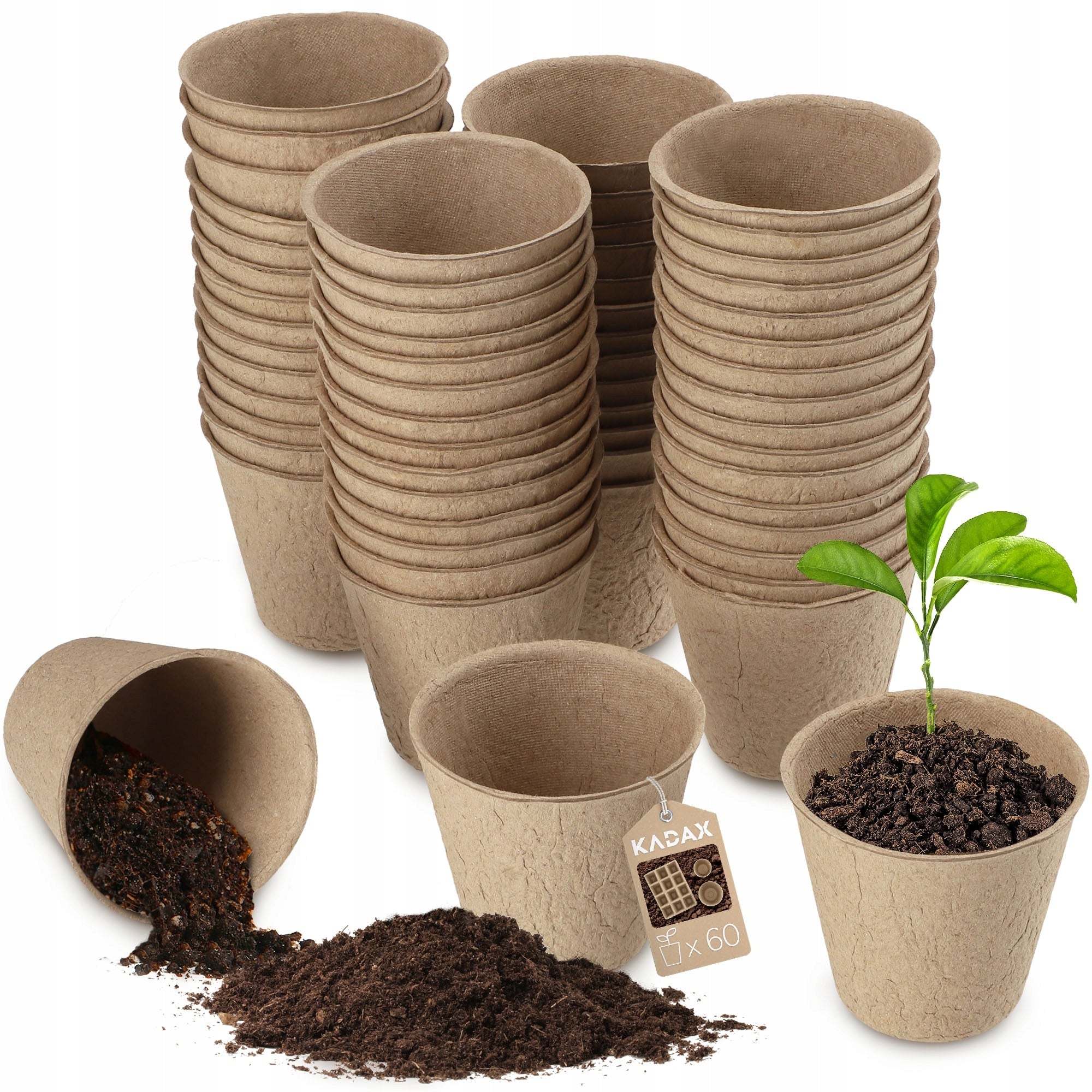 PEAT SEEDLINGS BIODEGRADABLE SEEDLINGS 6,7x6 cm 60 pcs Product width 6.7 cm
