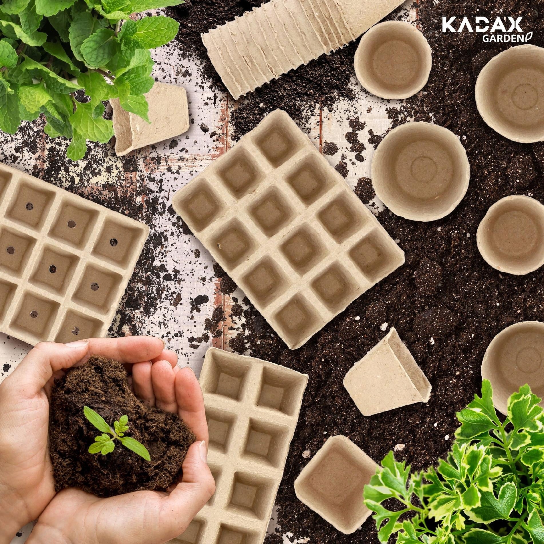 PEAT SEEDLINGS BIODEGRADABLE SEEDLINGS 6,7x6 cm 60 pcs Shape round