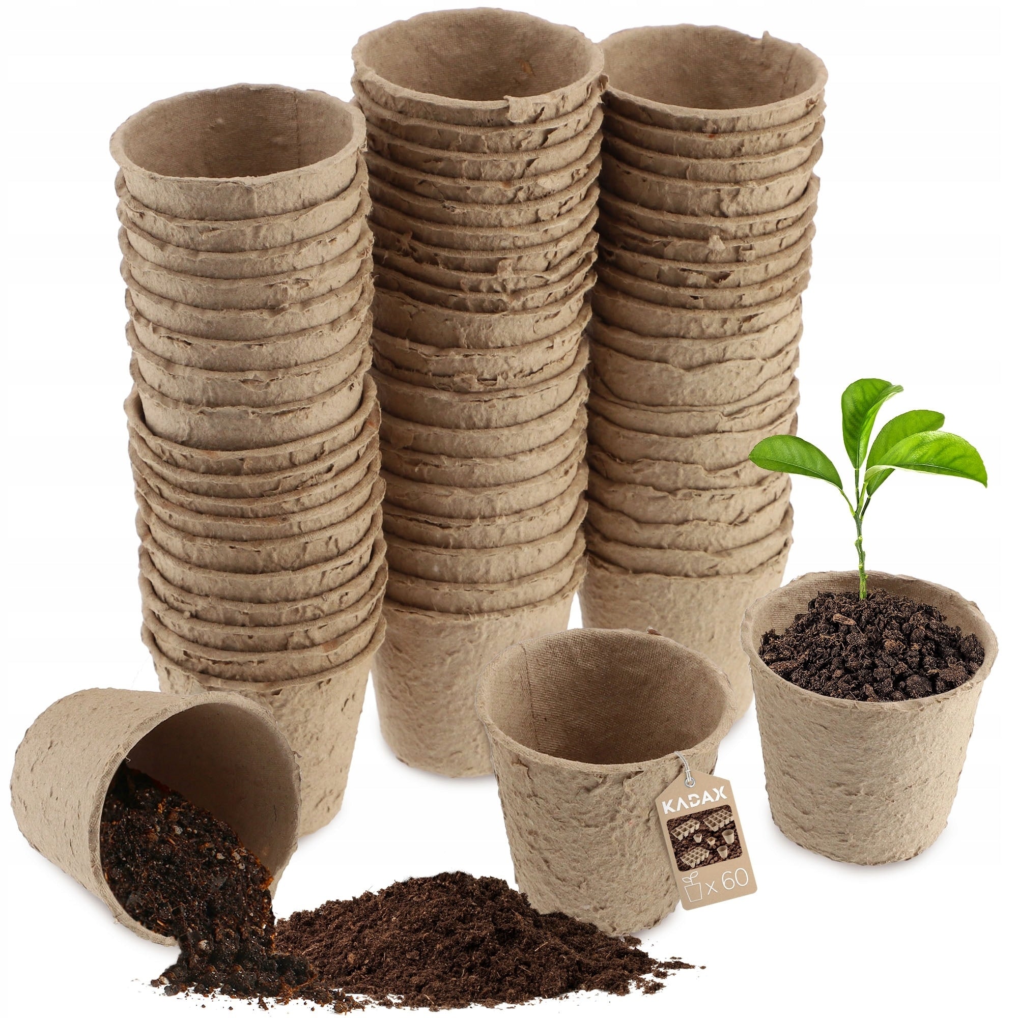 PEAT SEEDLINGS BIODEGRADABLE SEEDLINGS 6,7x6 cm 60 pcs