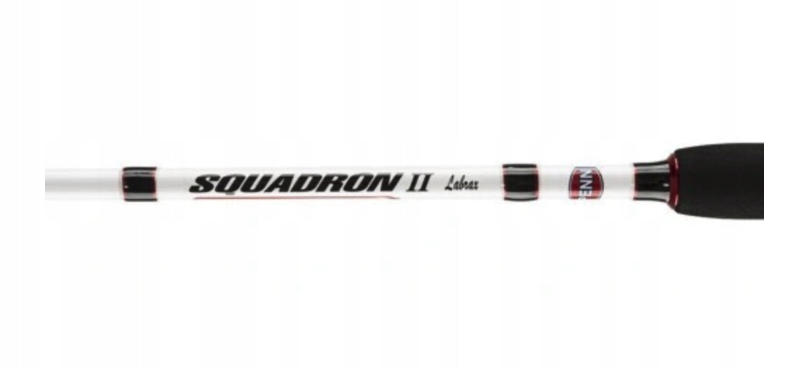 PENN SQUADRON II LABRAX 2,10M 10-30G