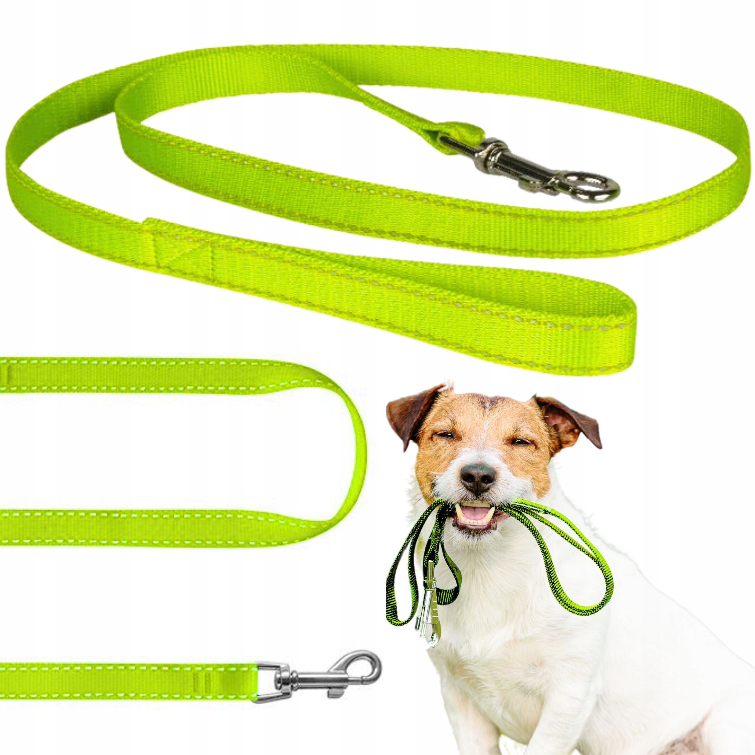 PETSTORY REFLECTIVE leash for DOG or CAT for a walk 1,5cm x 120cm Material fabric