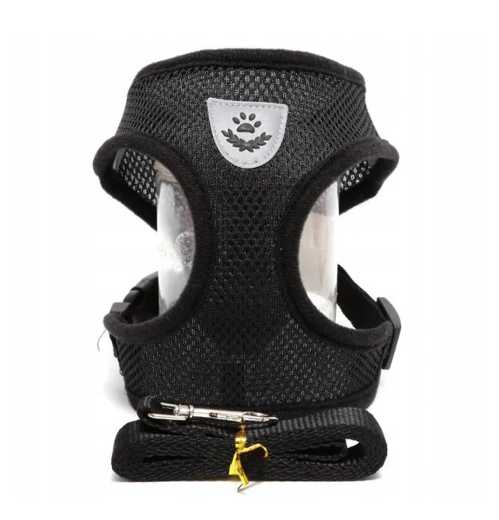 PETSTORY XL Pressure-Free Harness and Leash - Black