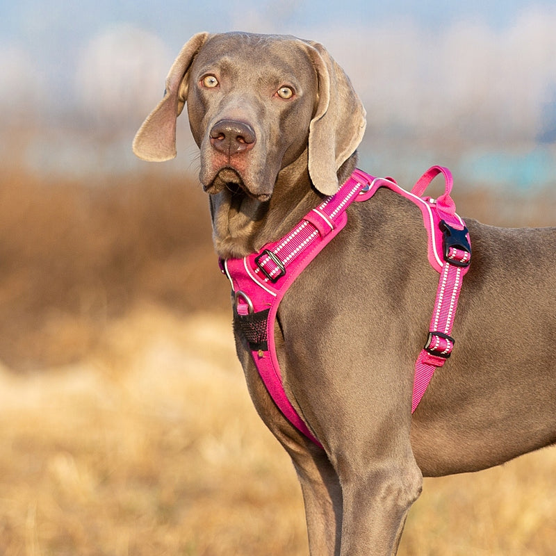 PINK Dog Harness STRONG REFLECTIVE TRUELOVE L Manufacturer code TLH56512