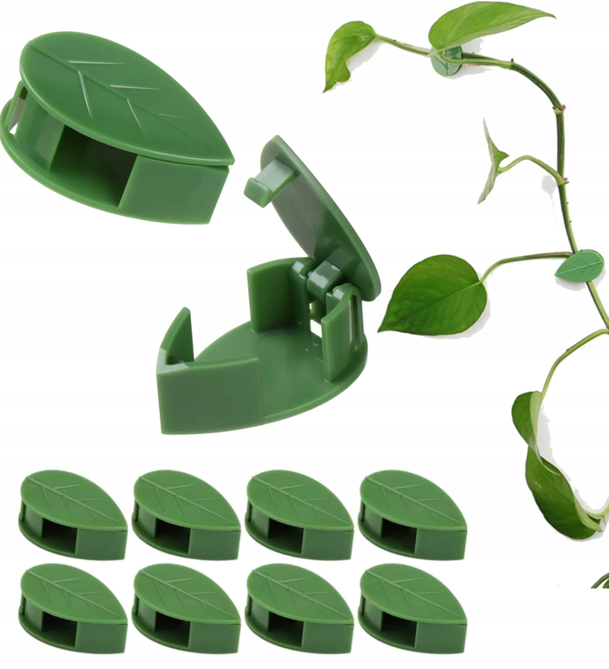 PLANT CLIPS CLASPS FOR FIXING CABLE CREEPERS CLIPS WALLS 10 PCS