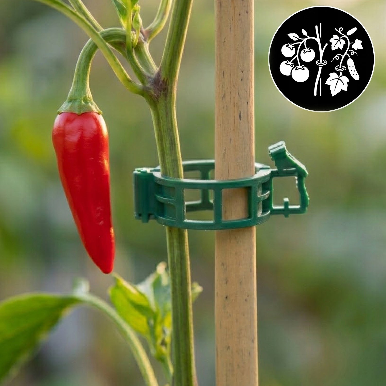 PLANT CLIPS STEM CLASP CLIPS ATTACHMENTS TOMATO SHOOTS 50PCS Product weight with unit packaging 0.35 kg