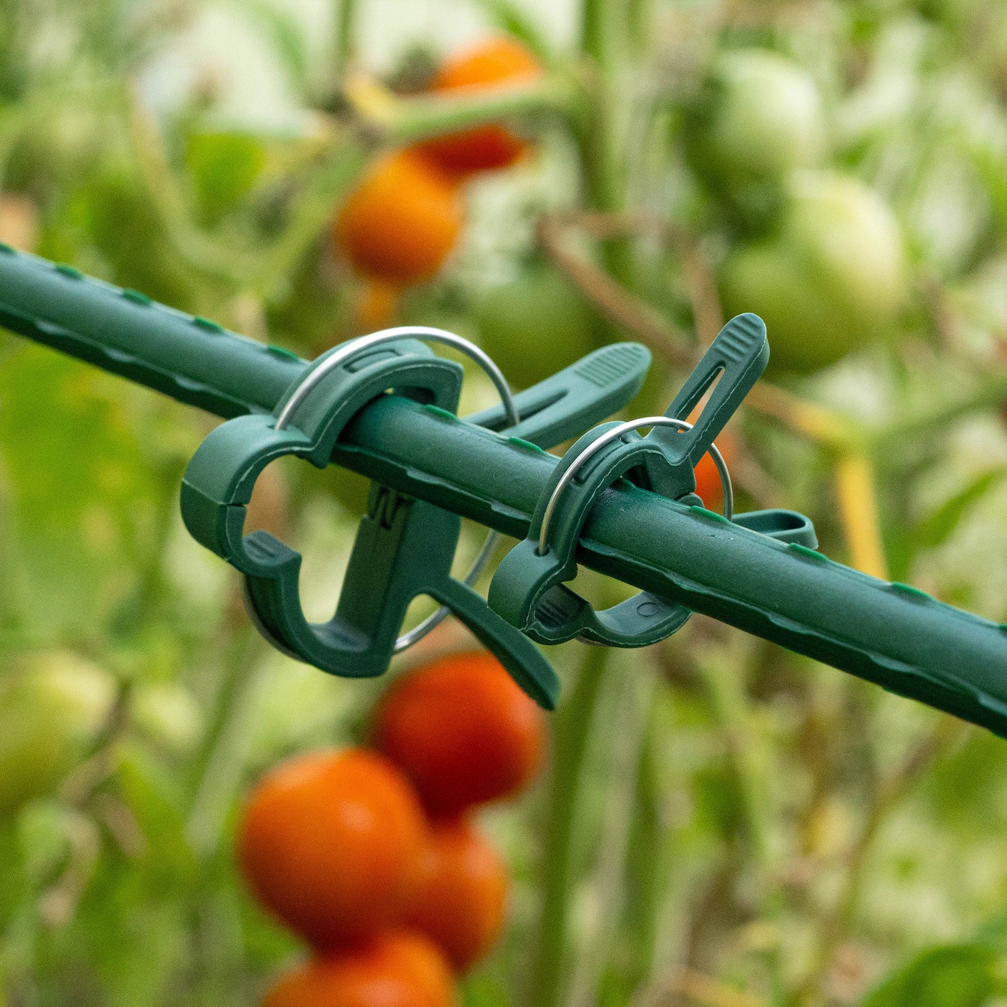PLANT CLIPS TOMATO SHOTS BEAN STEM MOUNTINGS HOLDER 20x Product height 5 cm