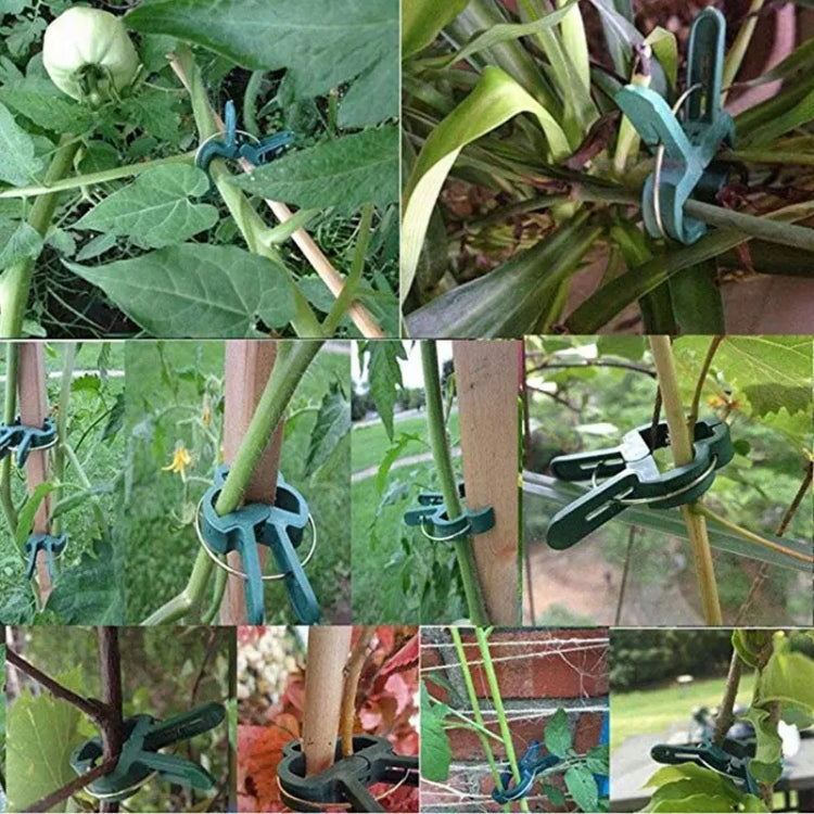 PLANT CLIPS stem clasp holders - 20PCS green TWO SIZES Brand no brand